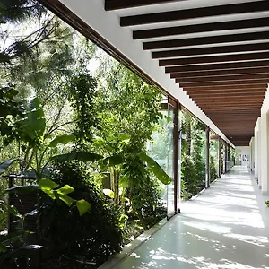 Hotel The Lifeco Bodrum Well-being Detox Center And Vegan (adults Only), Golturkbuku